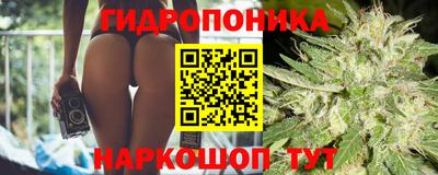 скорость Гусь-Хрустальный