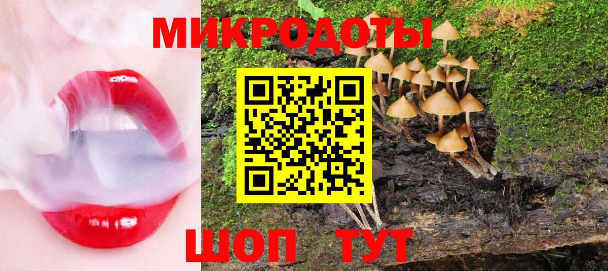 Галлюциногенные грибы прущие грибы Мценск