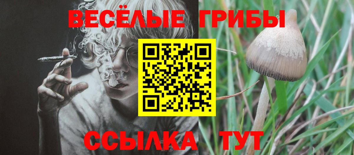 Галлюциногенные грибы Magic Shrooms  сколько стоит  Мценск  Галлюциногенные грибы ЛСД  Вход с VPN 